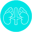 8-doenca-renal